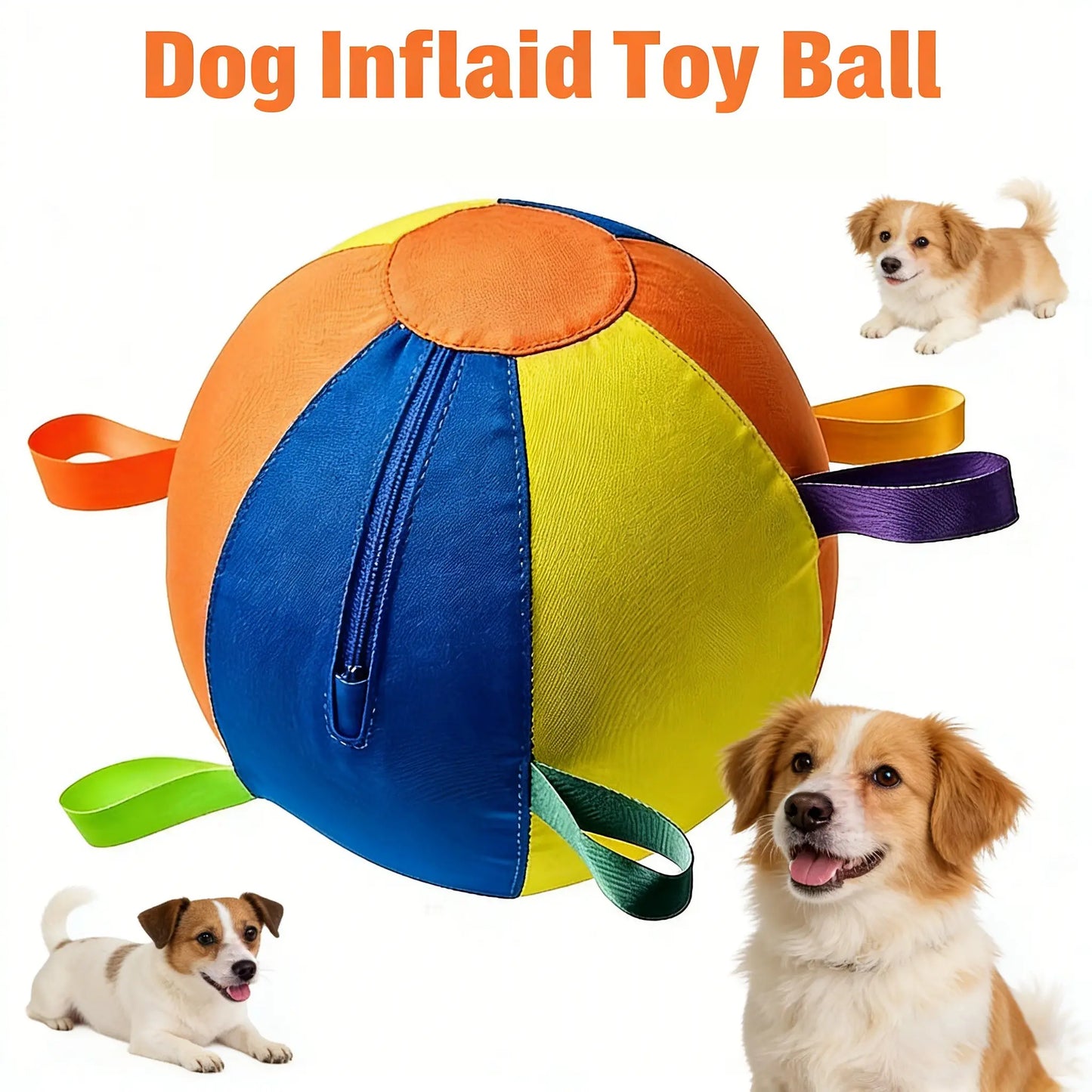Dog Training Toy Ball with Handle, Border Collie Pet Toys, Interactive Fetching Game for Dogs, Durable Rubber Material